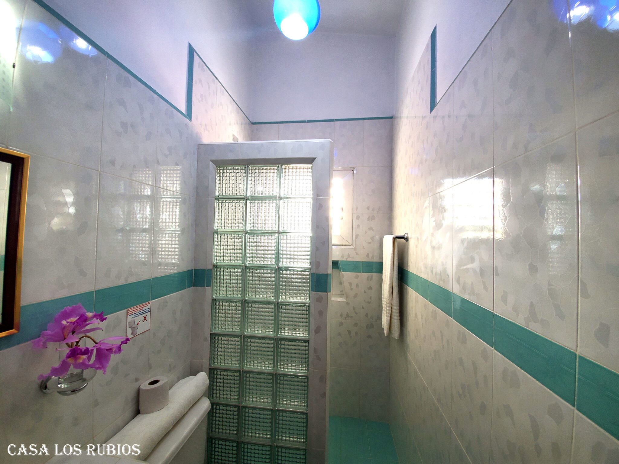 Apartamento habitacion sencilla foto 7
